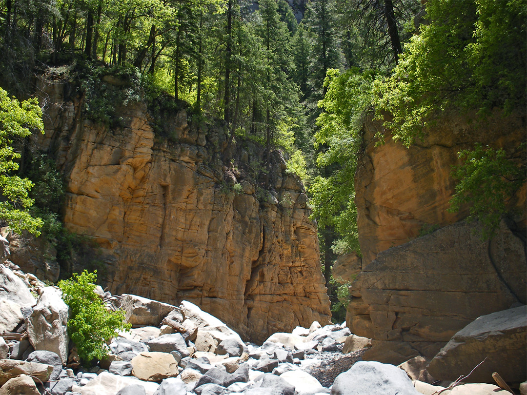 Sandstone cliffs