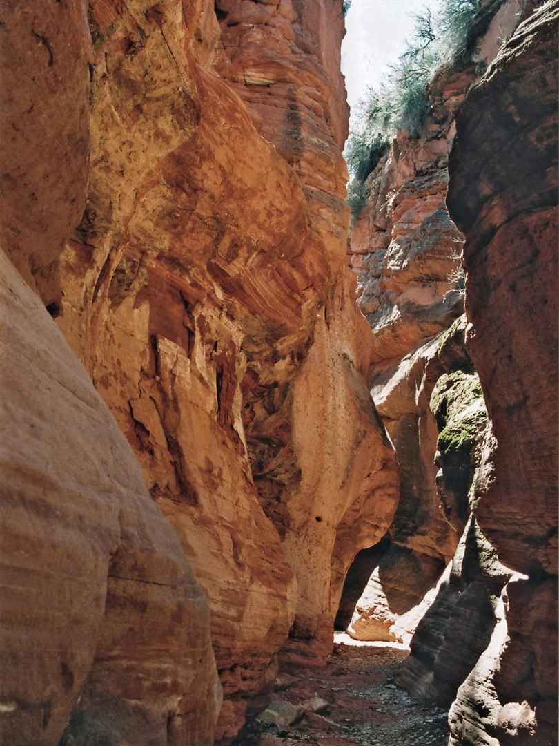Shady narrows
