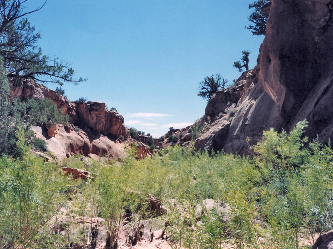 The lower canyon