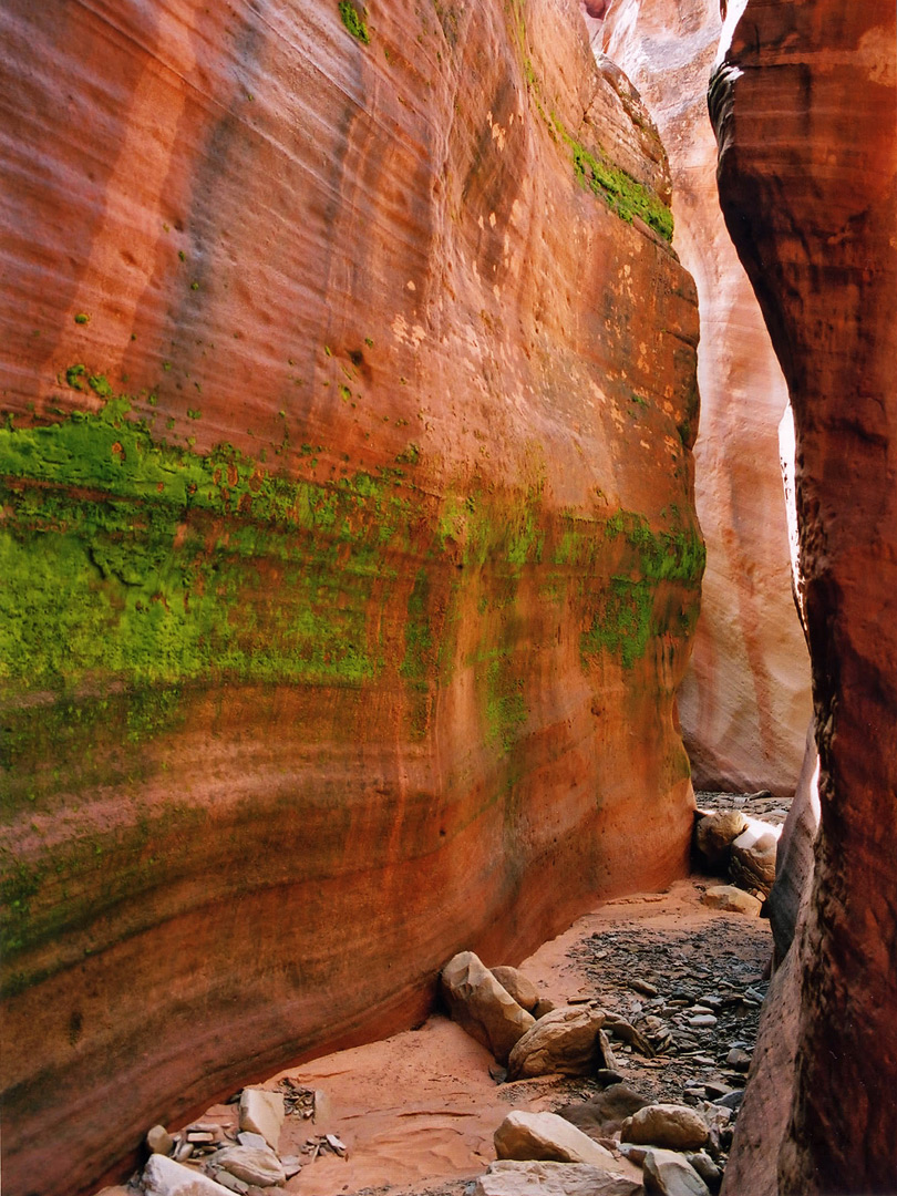 Sand Wash  Red Cave  slot canyons near Zion National Park  Utah