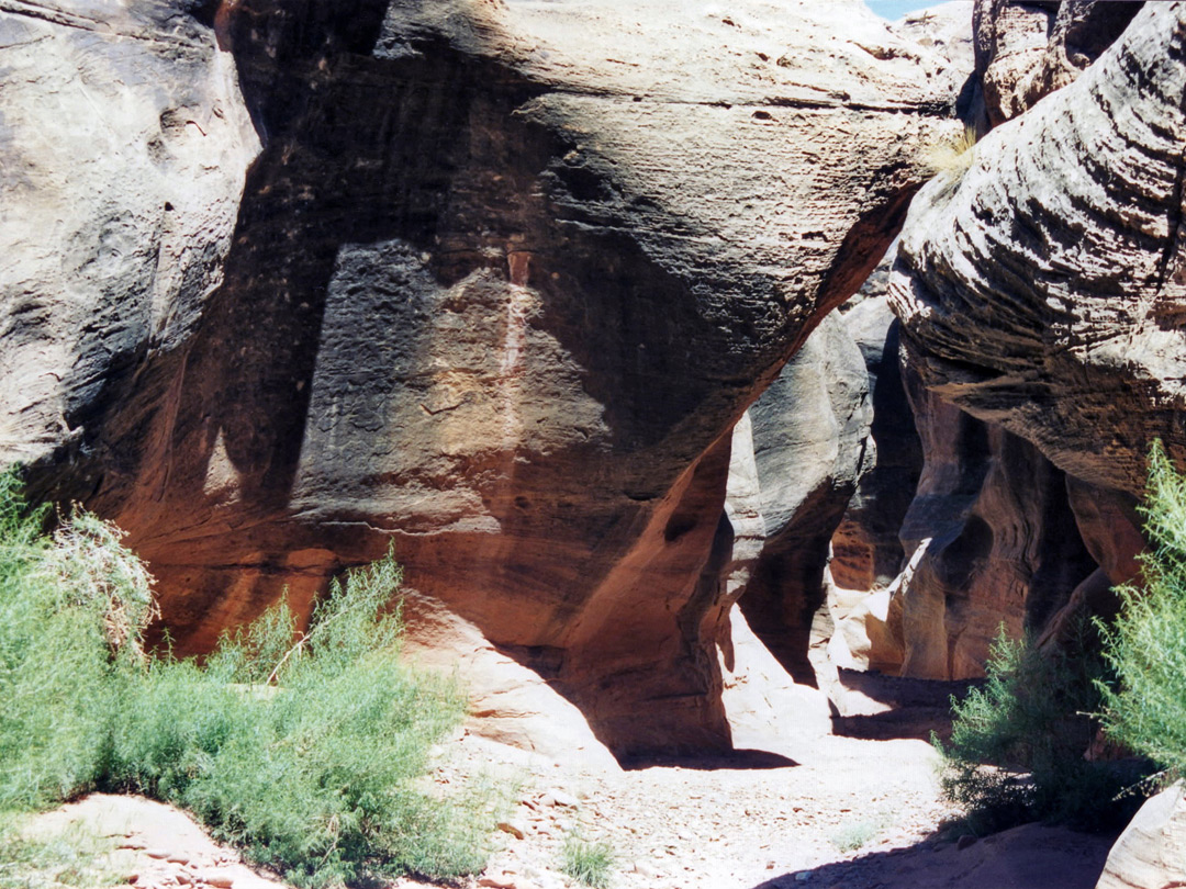 Bushes and rocks