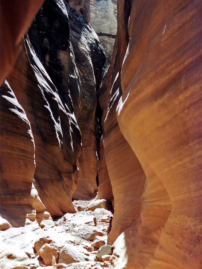 Sunny narrows