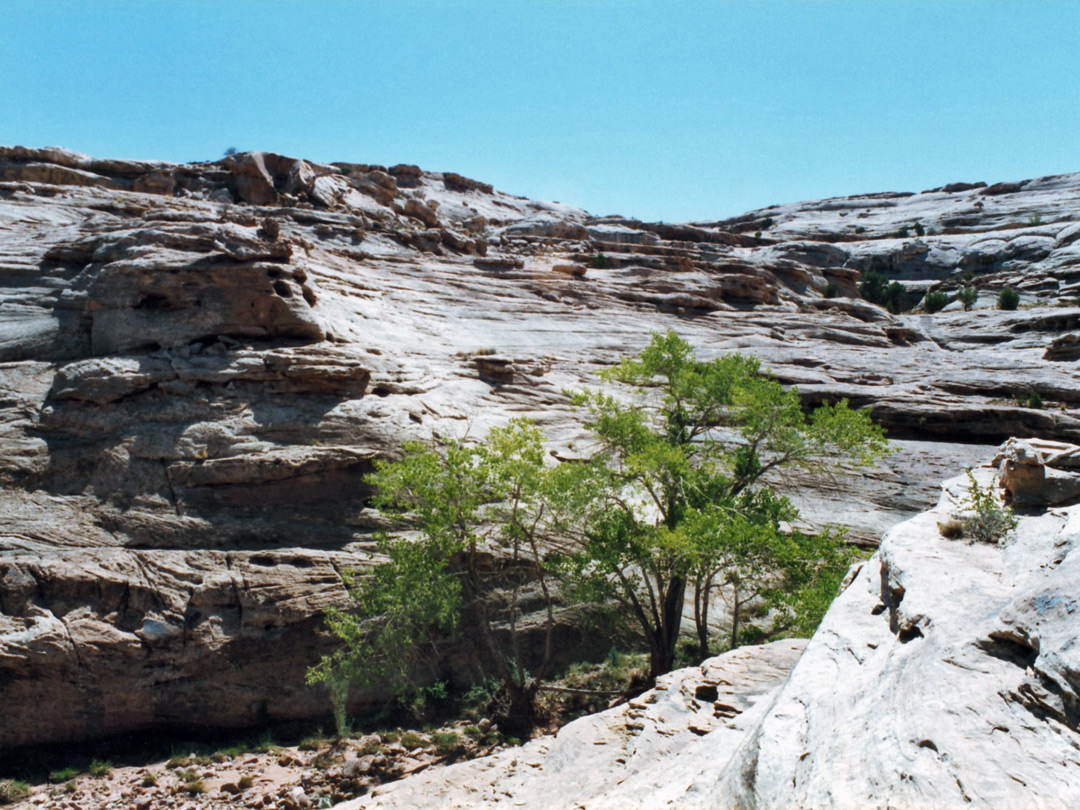 Middle of the canyon