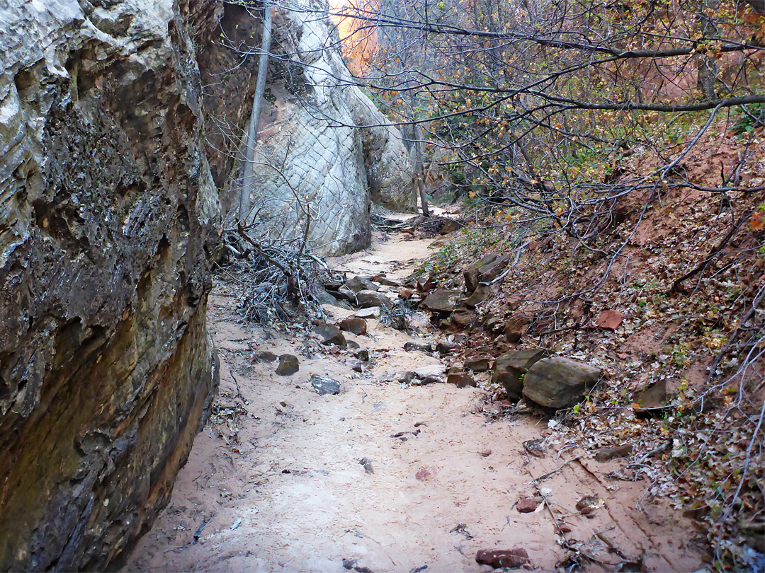 Bushes, sand and boulders