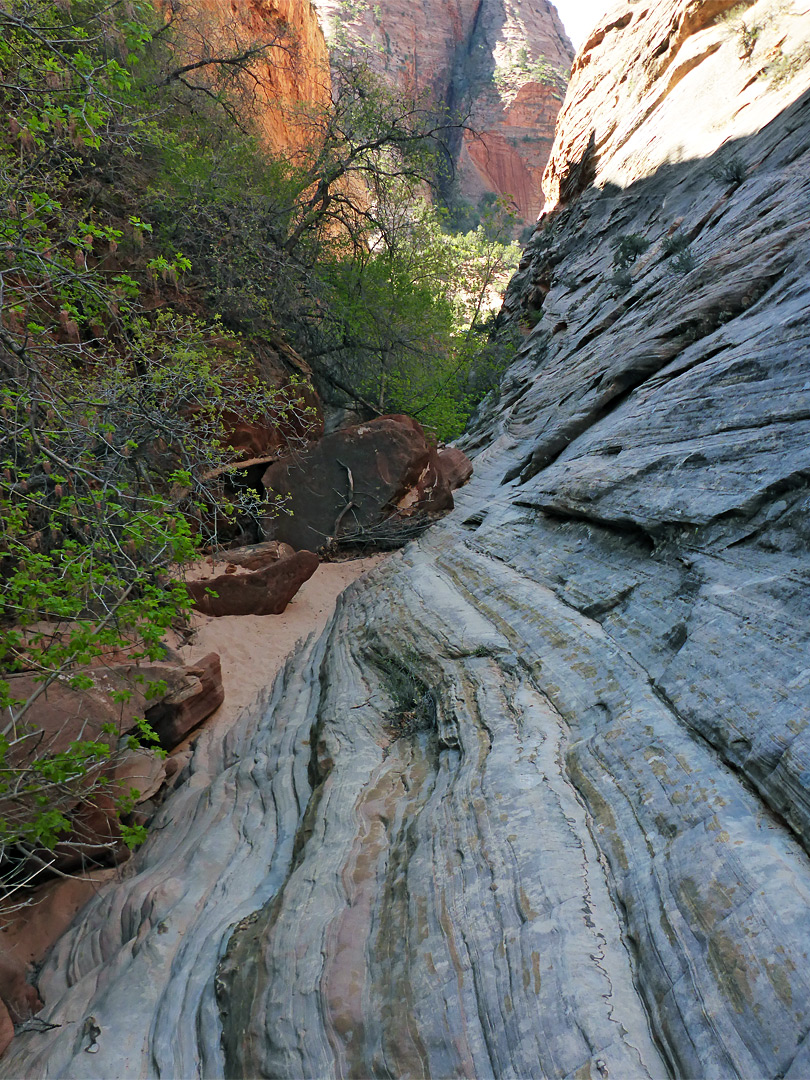 Mouth of the canyon