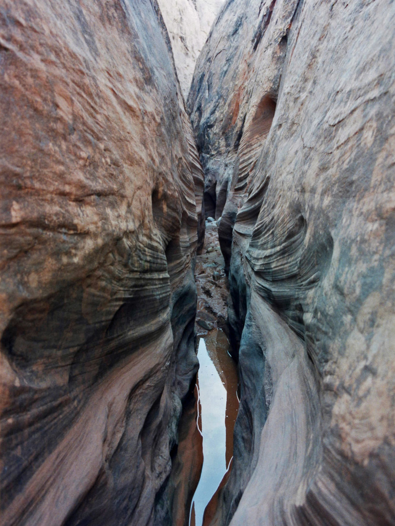 Pool in a side canyon