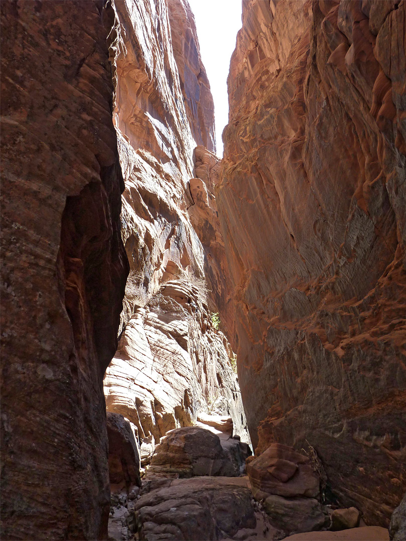 Reddish canyon walls