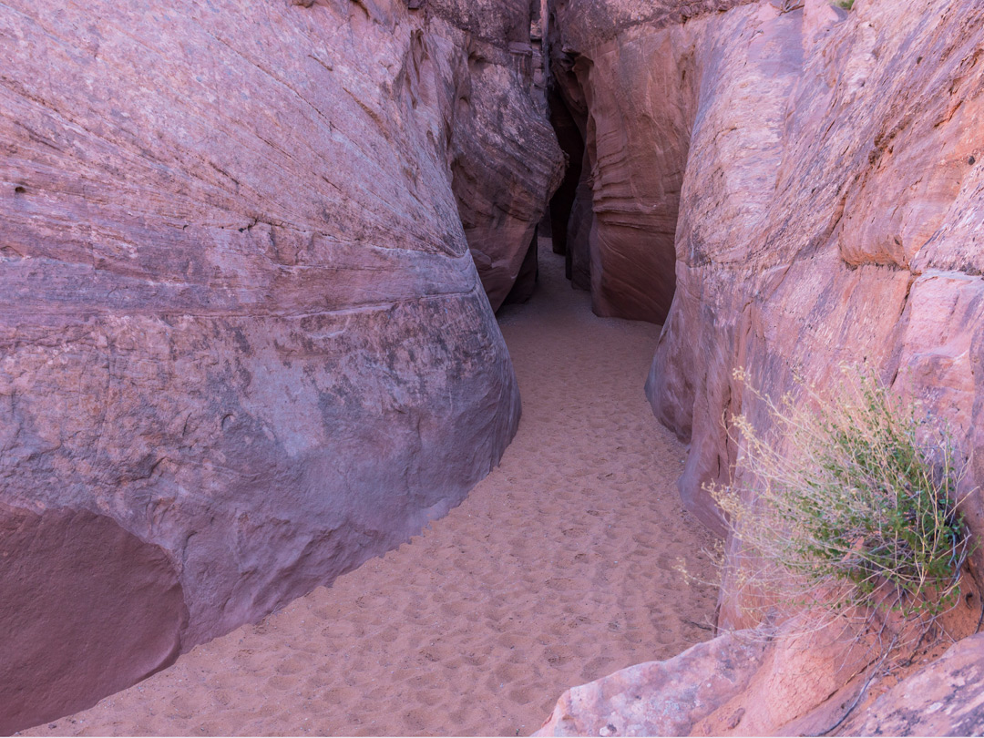 Sandy streambed