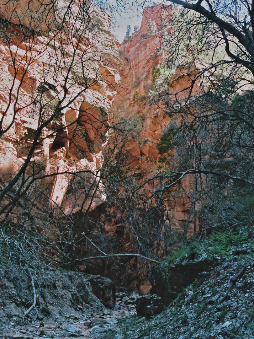 Stony streambed