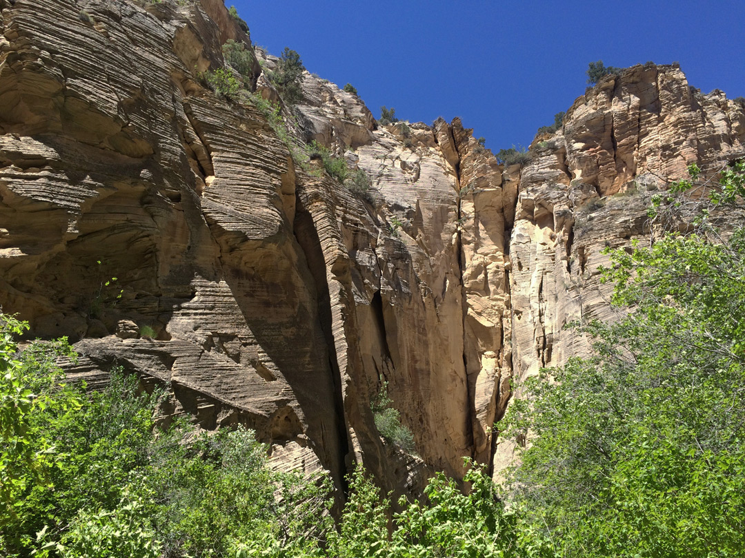 Cliffs