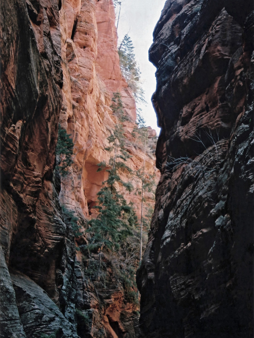 Canyon walls