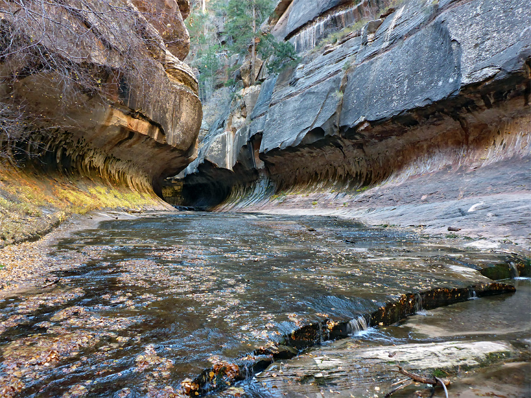 Stream from the Subway