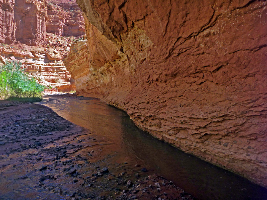 Cliff beside the creek