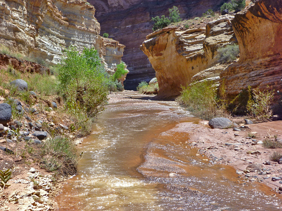 Downstream of the narrows