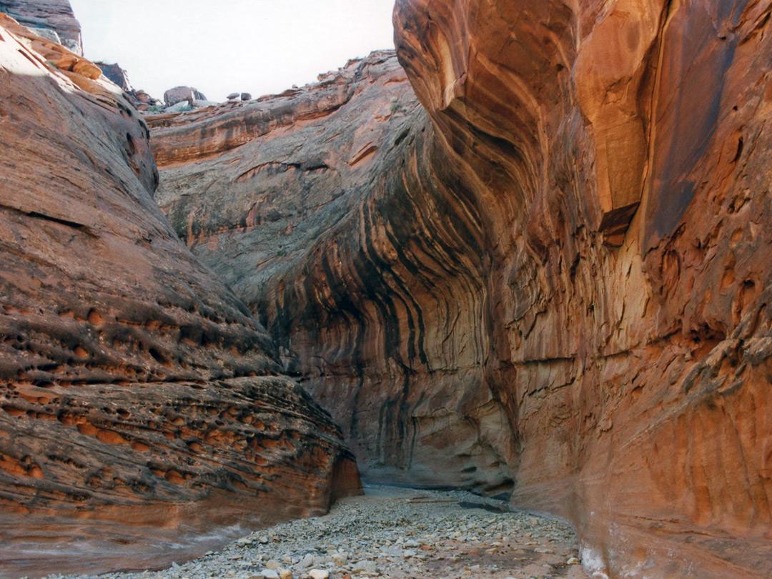 Streaked Wingate sandstone