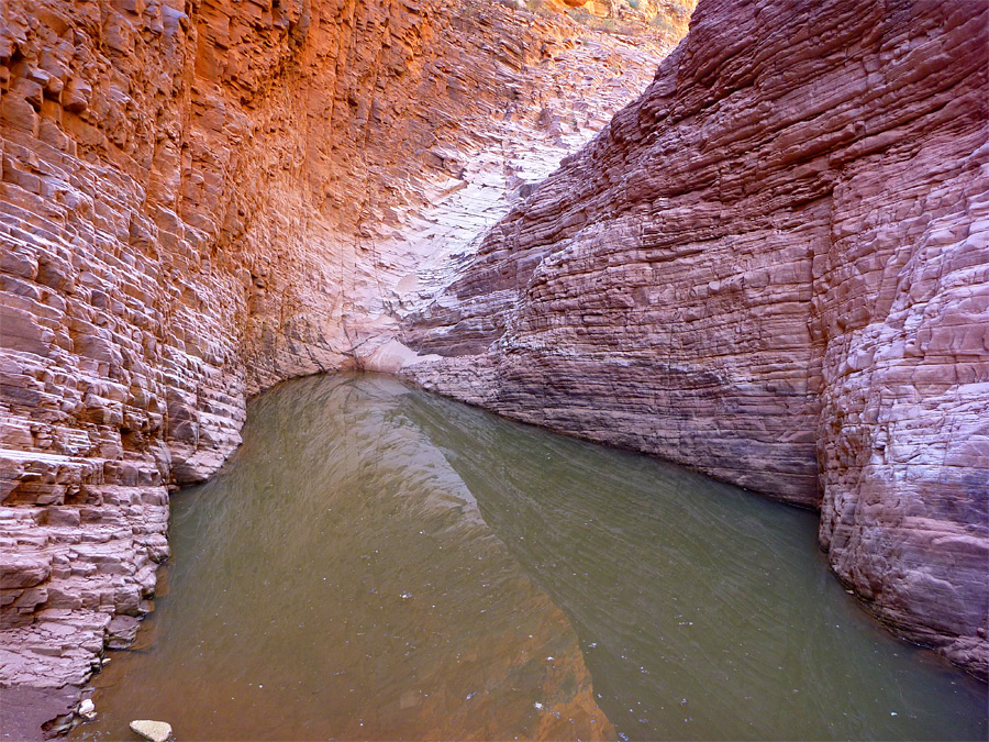 Large pool