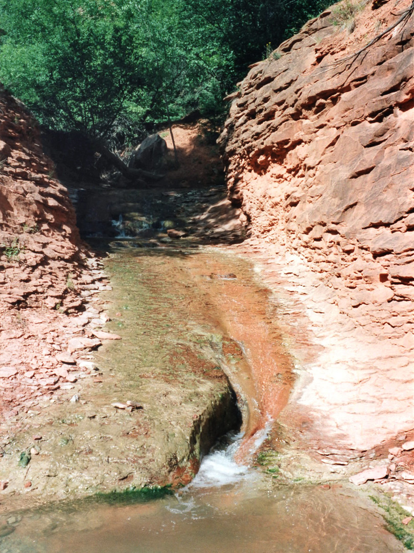 Narrow bend along the creek