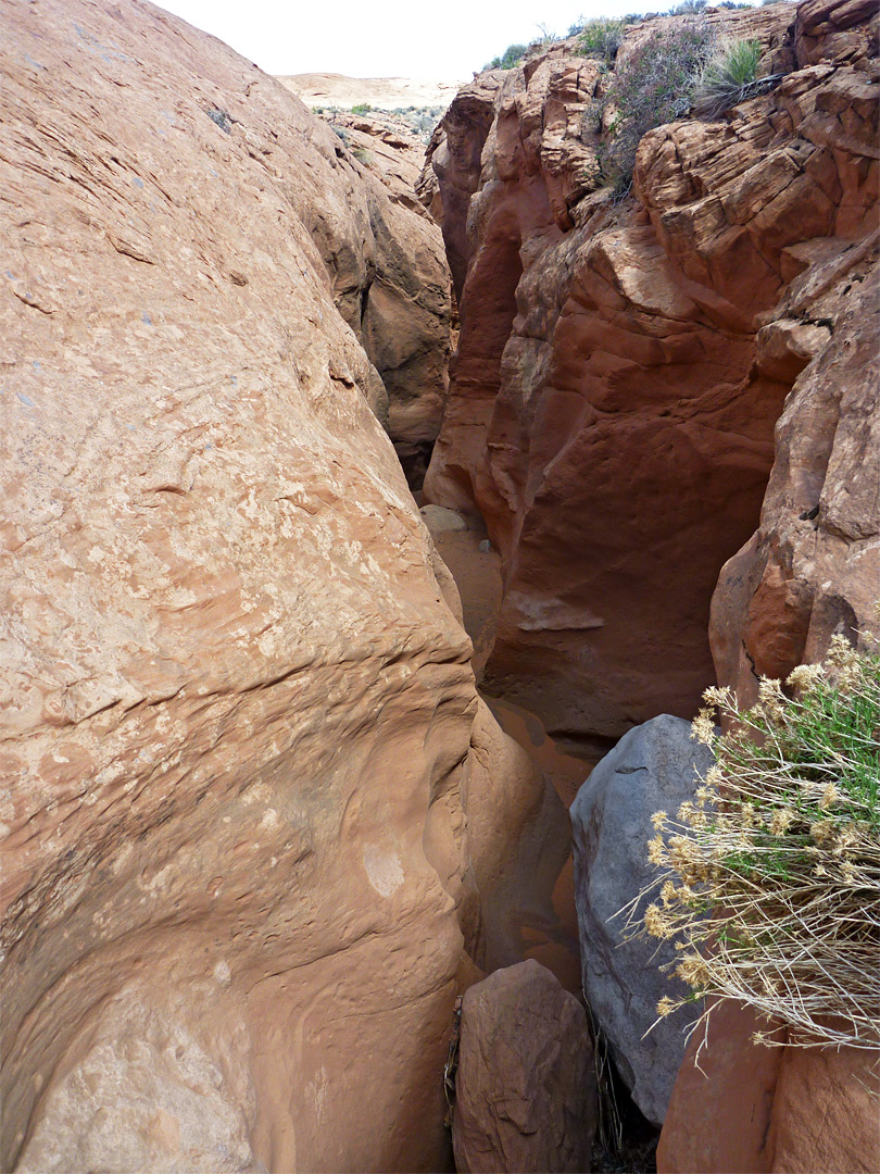 Above a tributary