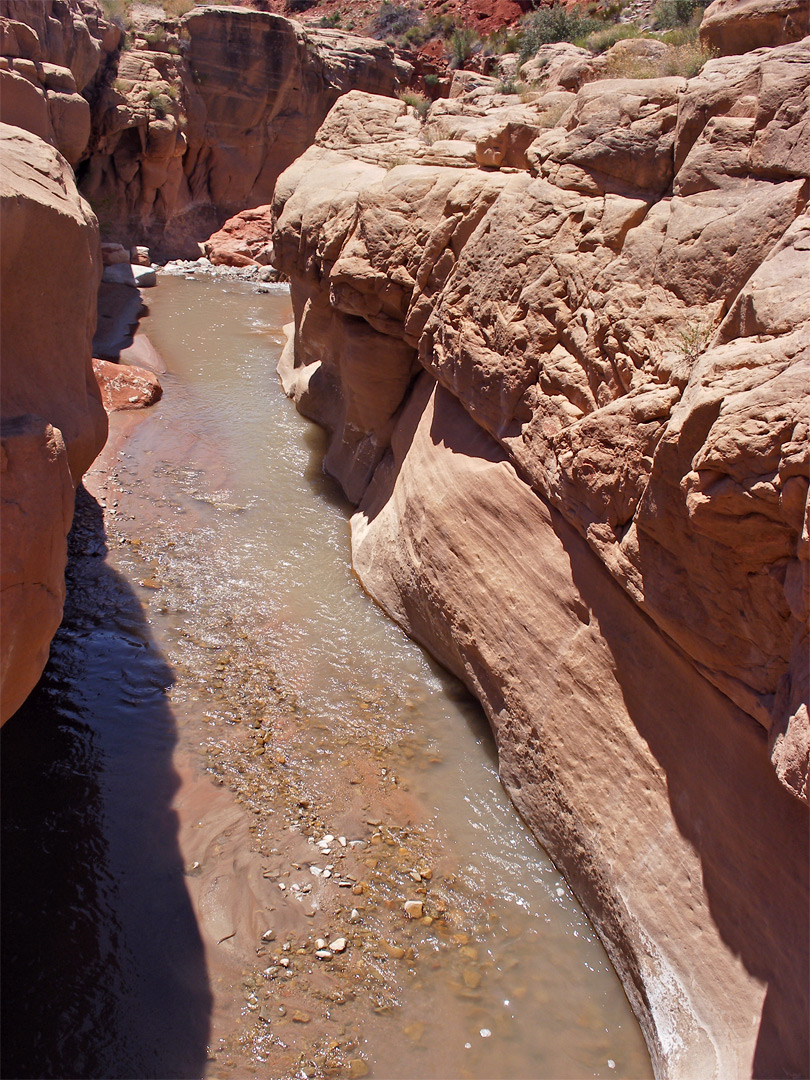 Enclosed section of the creek