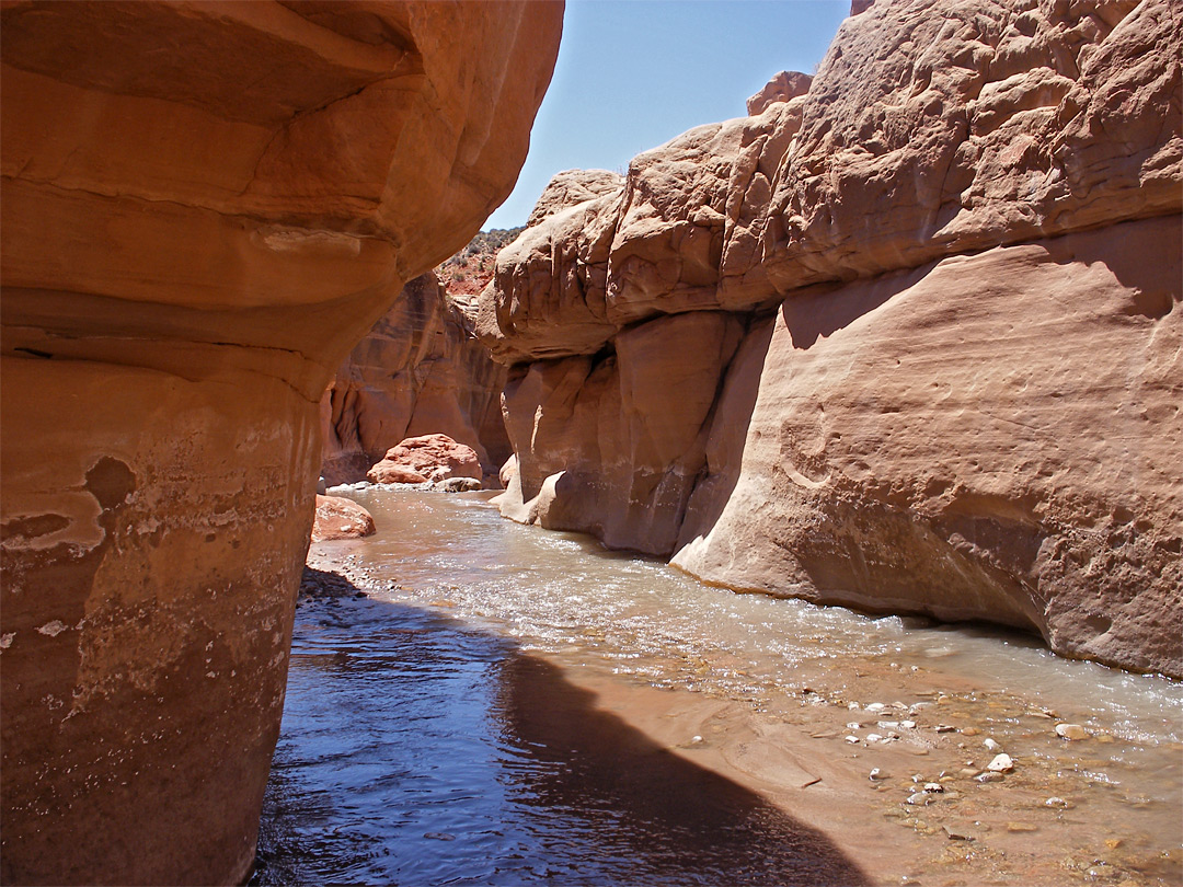 Canyon of Trachyte Creek