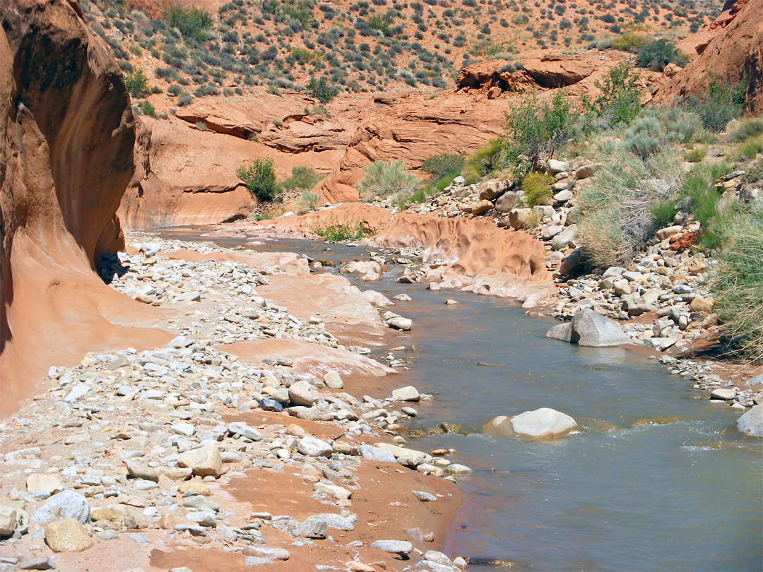 Light-colored sandstone