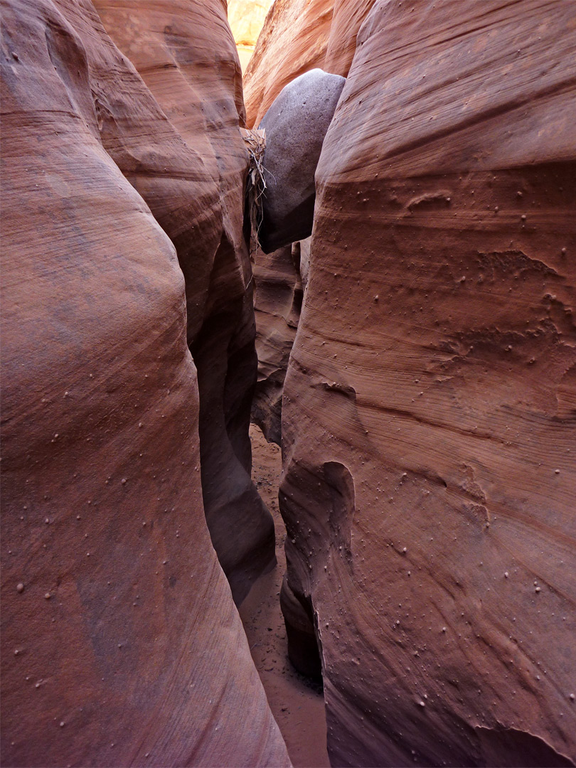 Grey boulder