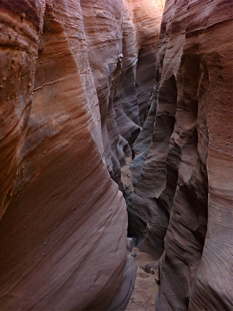 Layered sandstone