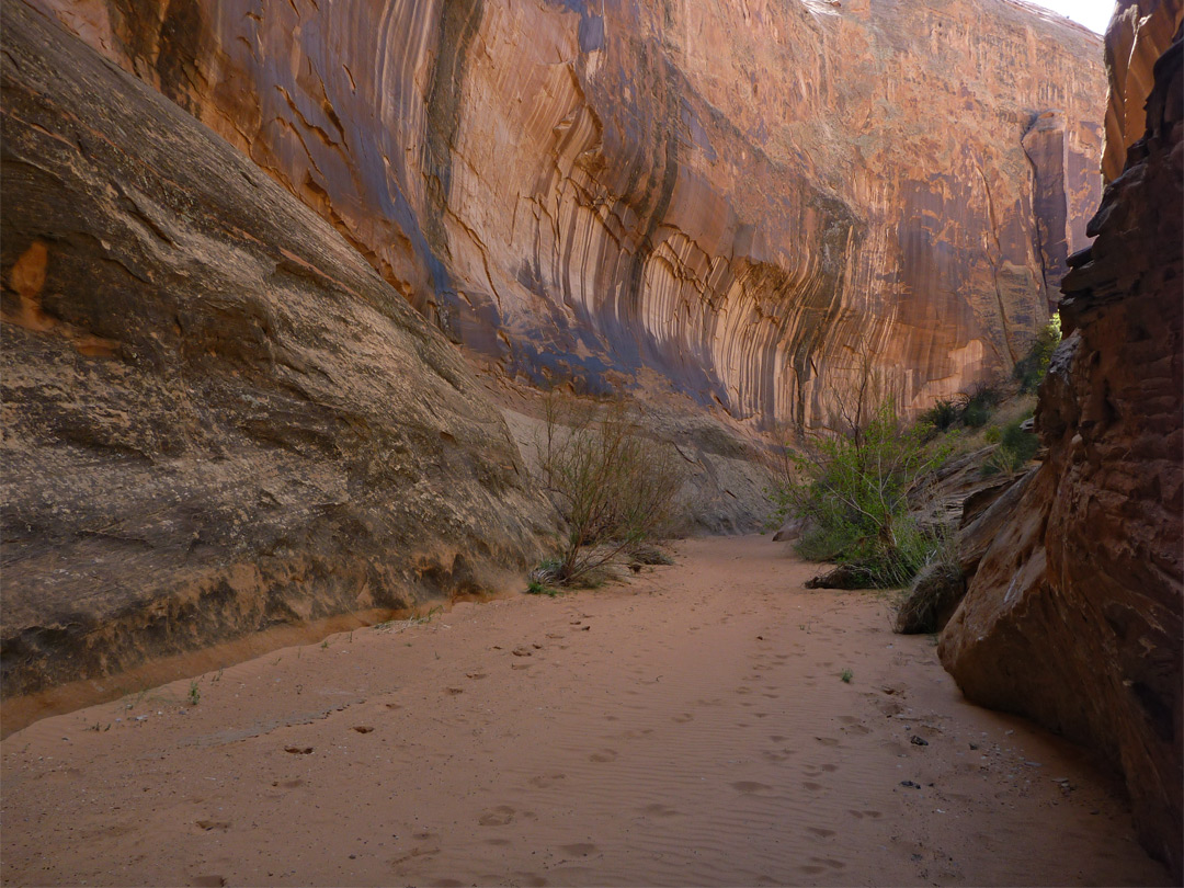 The lower canyon