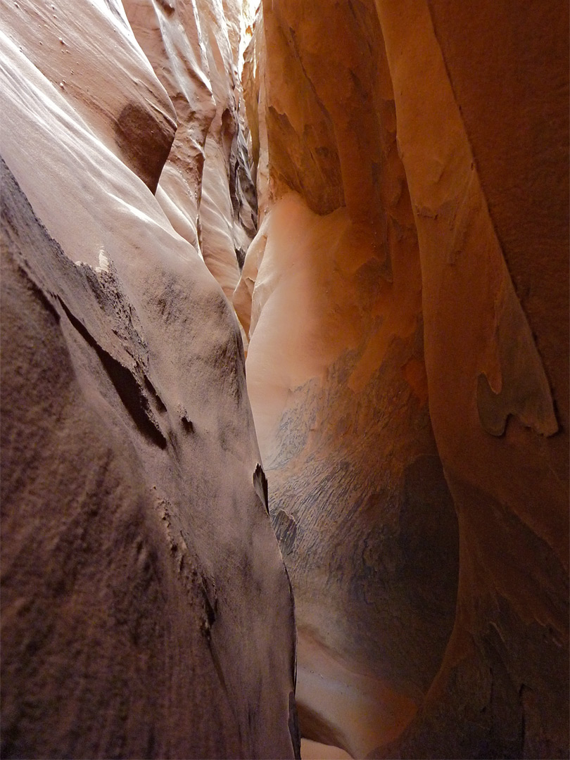 Orange-colored rocks