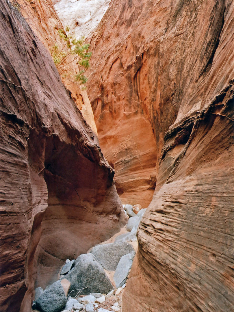 Bend in the canyon