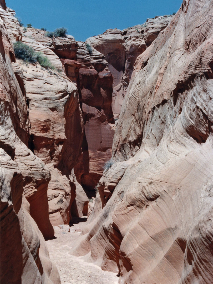 Reddish cliffs
