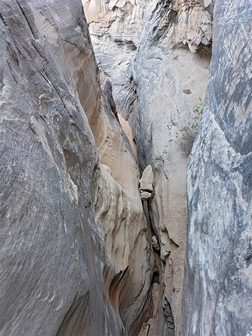 Above the narrows