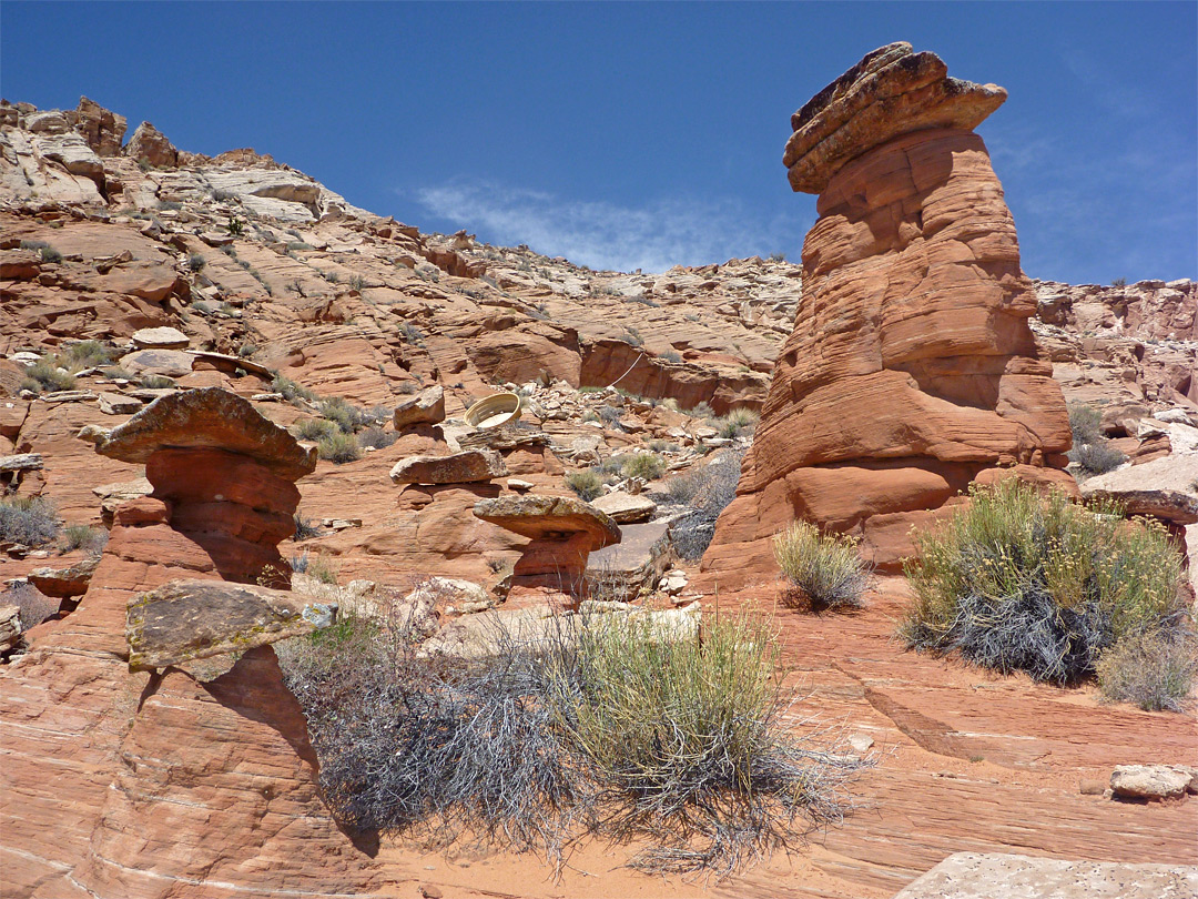 Hoodoos