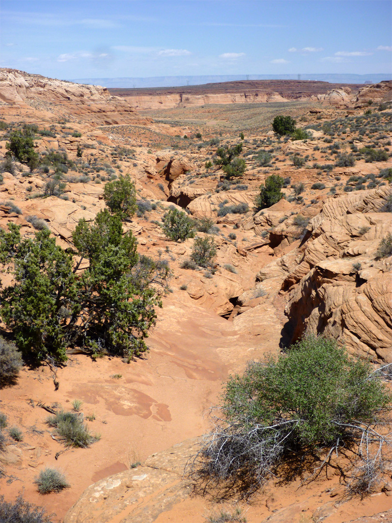 Above the west branch