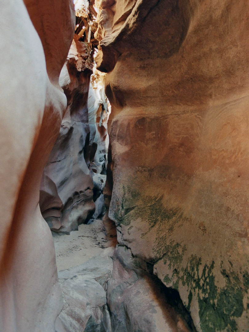 Muddy passageway