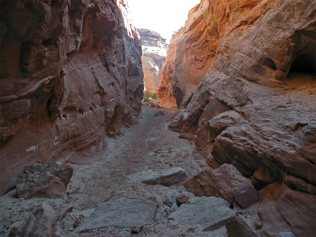 West Fork - the widening canyon