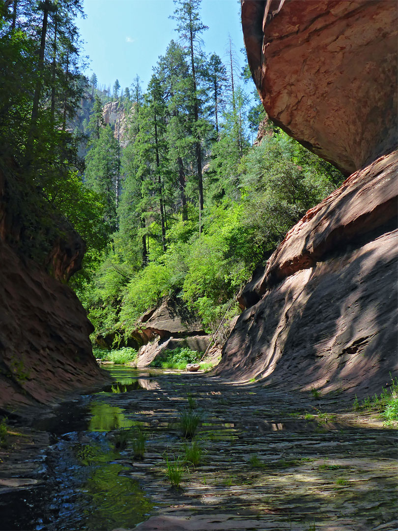 Thin-layered sandstone