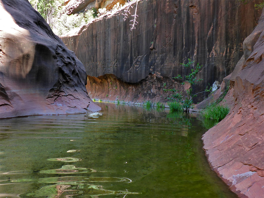 Black and red rocks