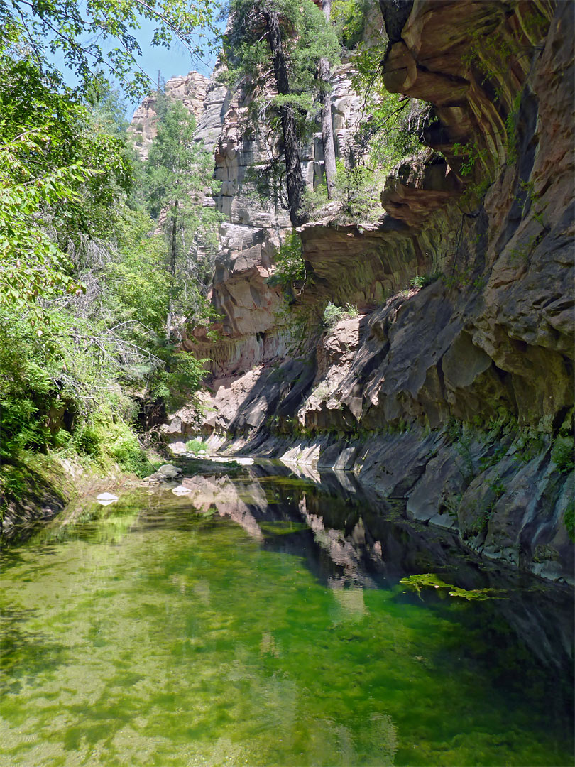 Shallow green pool