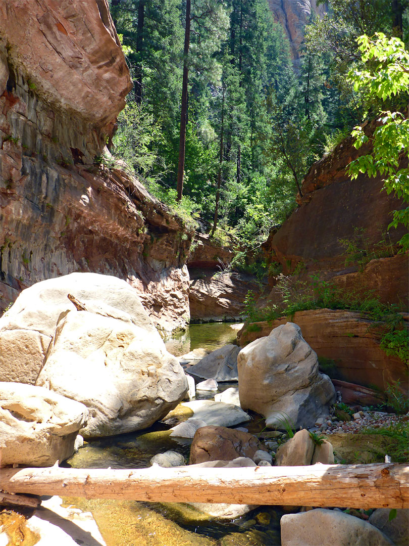 Log and boulders