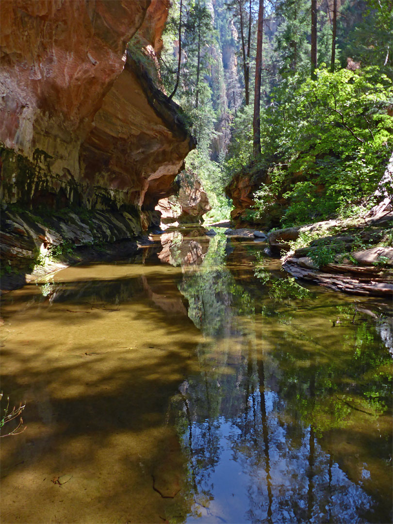 Pool and overhanging cliff