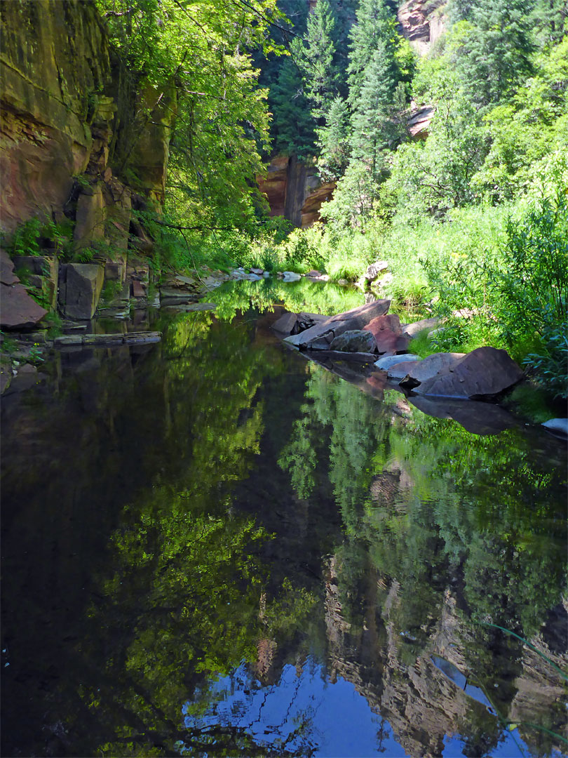 Reflections on a long pool