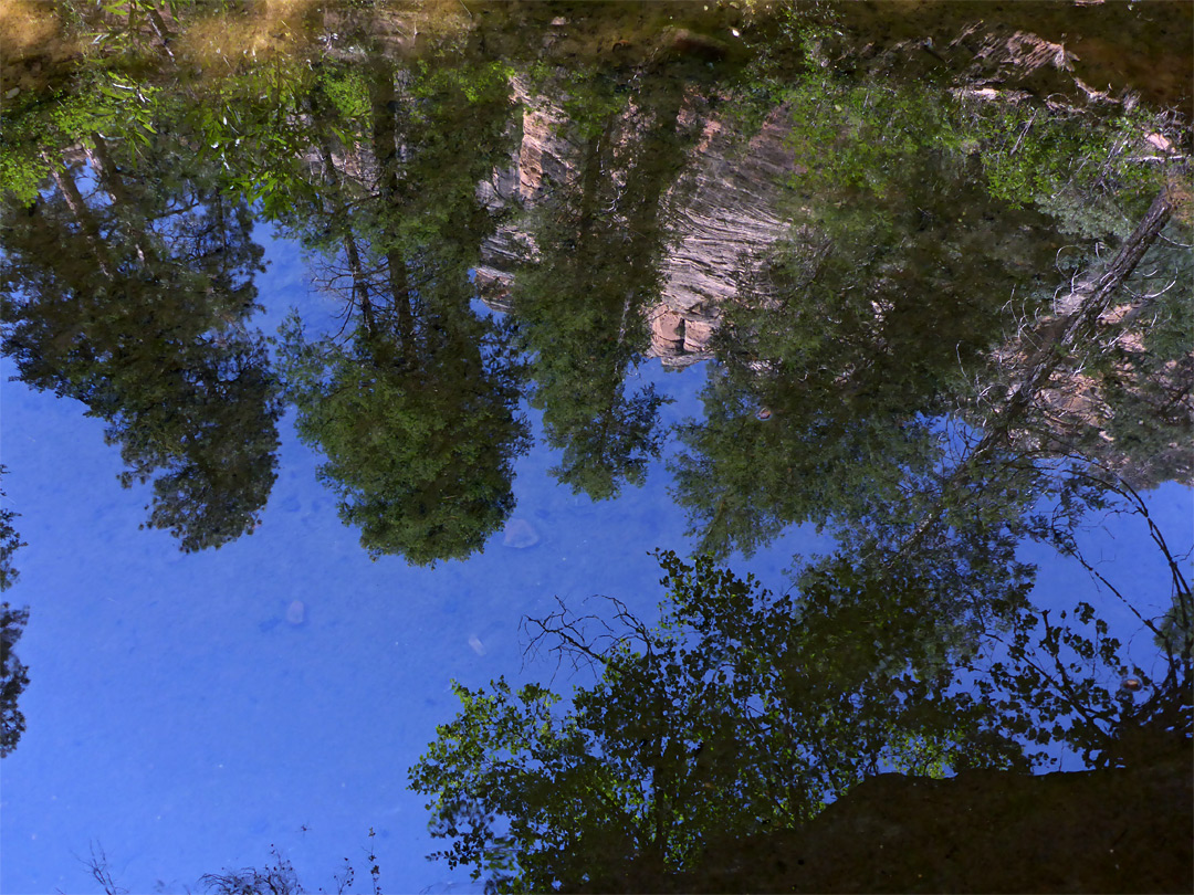 Reflections on a pool