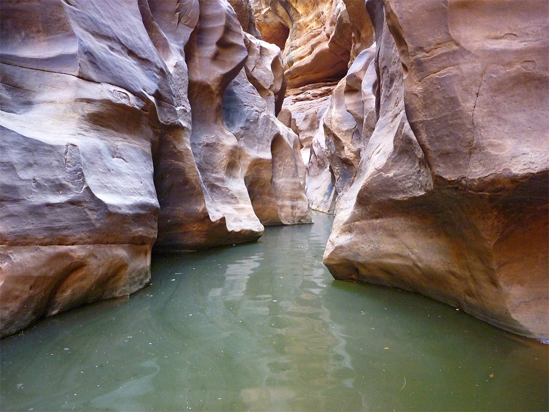 White Canyon