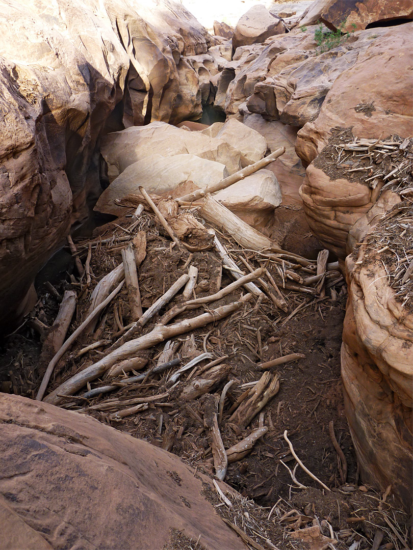 Flood debris