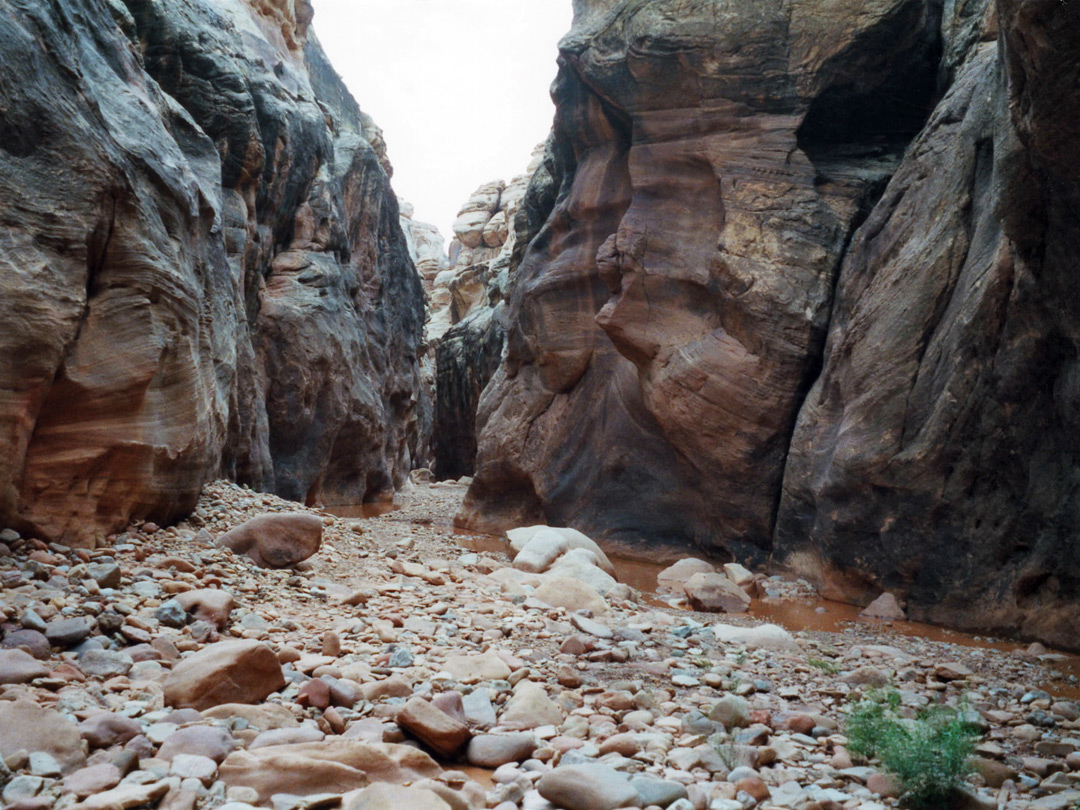 Rocky streambed