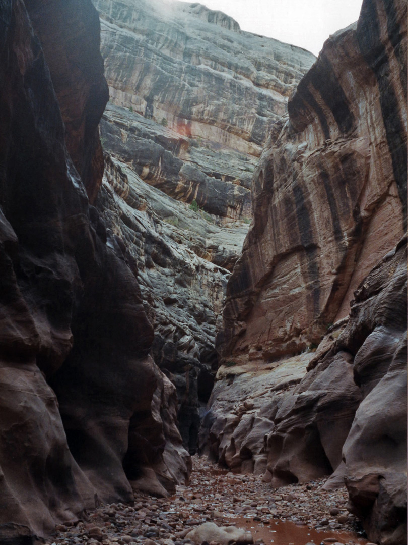 Deep section of the canyon