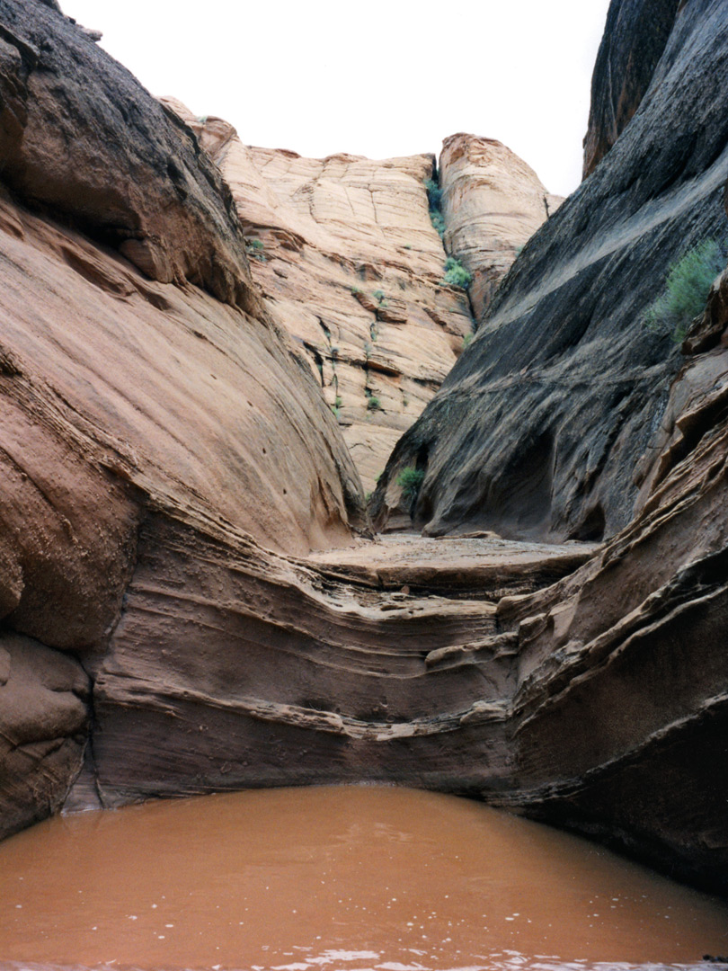 Pool in the upper canyon
