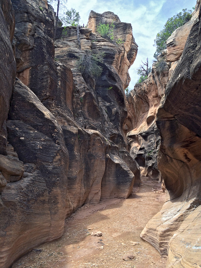 Bend in the canyon