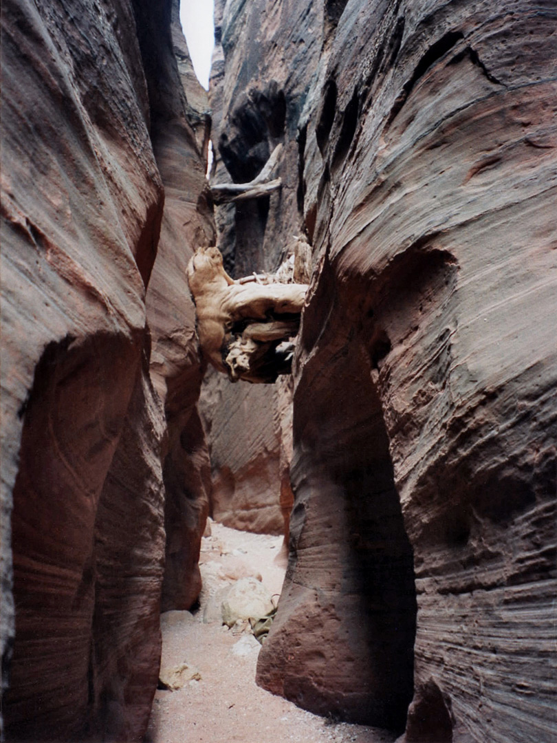 Logs in the narrows